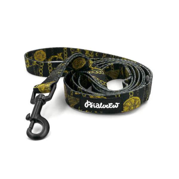 Smycz spacerowa miejska dla Psa Donatella Psiakrew szerokość 2 cm czarny karabińczyk 6 cm