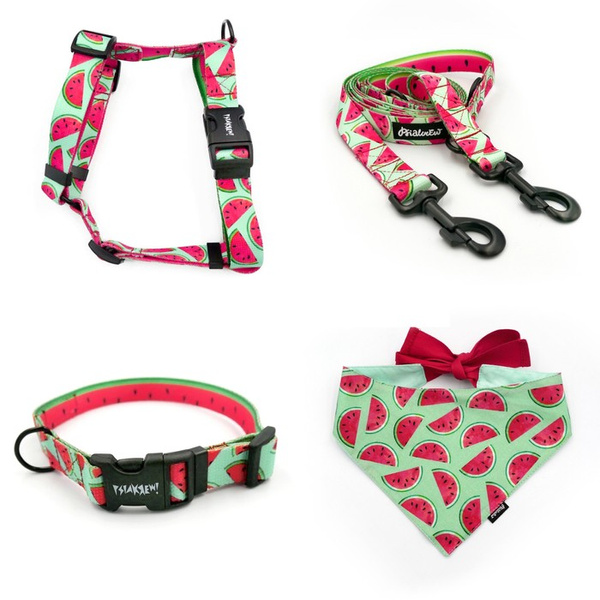ACCESSORY KIT. Big dog. Watermelon Psiakrew Series; Collar, Harness, Leash, Bandana