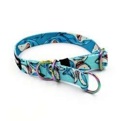 Half-choke collar Shark, 2 cm wide, for small dogs, Holo extras