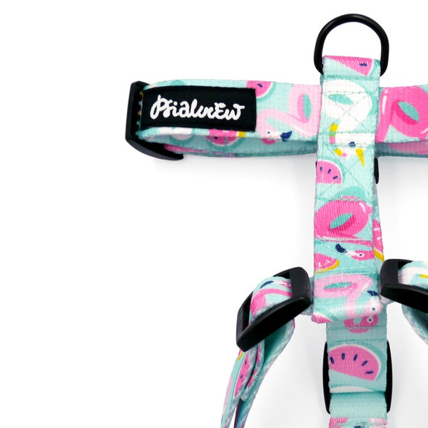 Harness for Dog, Azure Pool Psiakrew Guard Harness Small Harness for small dogs, puppies, black extras