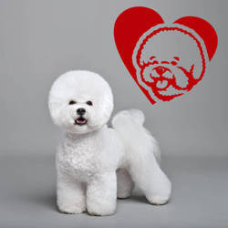 Bichon Frise Love Dog wall decal Psiakrew