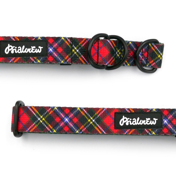 Half-choke collar Tartan Psiakrew, 2.5 cm wide, medium and big dogs, black extras