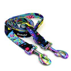 Lange Hundeleine, wendbar- Terrazzo, 2,5 cm, Holo-Beschläge, 8 cm, Psiakrew