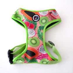 Dog Harness Tutti Frutti, Always Feeling Cool, Super Soft Psiakrew, fruity pattern