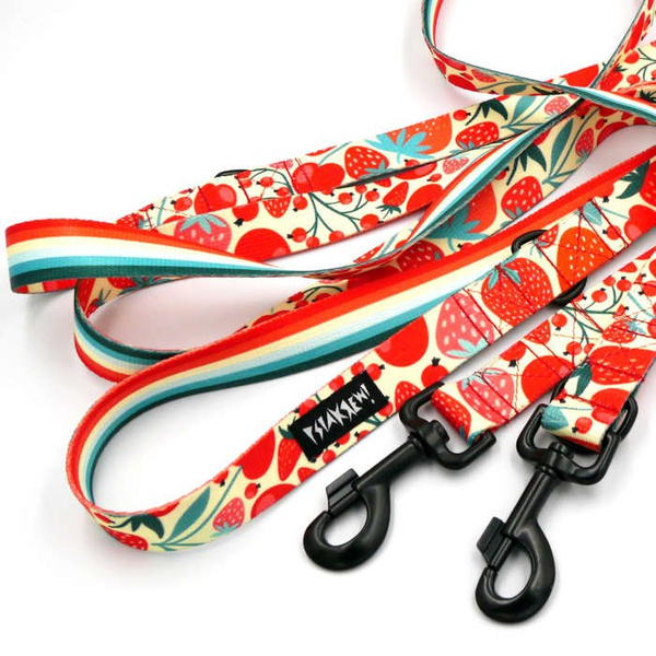 Dog Leash Fruit Jelly width 2.5 cm, 1" wide, black snap hook 8cm