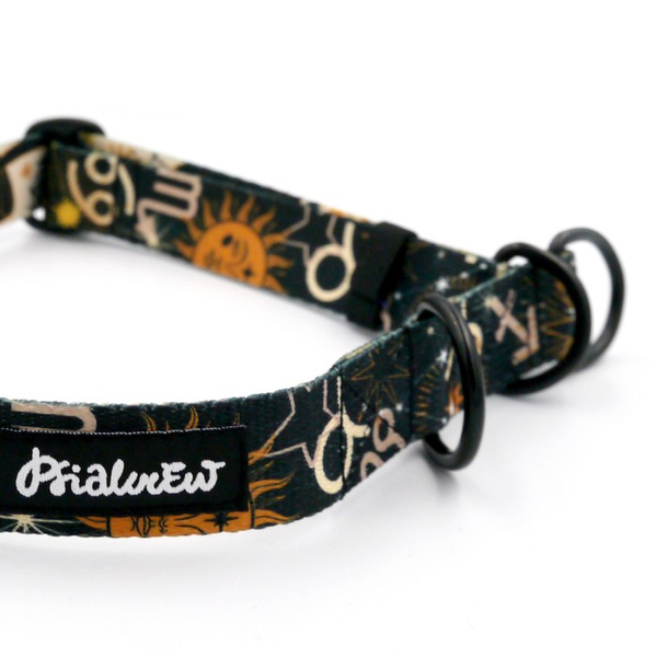 Halb-Klemmhalsband- Zodiak Psiakrew , 2,5 cm breit, für mittelgroße und größere Hunde, Schwarz-Beschläge, Psiakrew