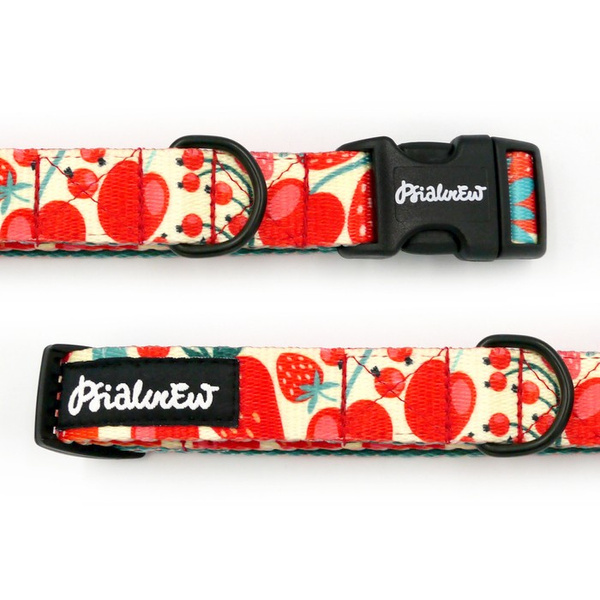 Dog Collar Fruit Jelly Psiakrew, 2 cm 0.78" wide, for smaller dogs