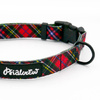 Verstellbares Hundehalsband Tartan Psiakrew, Breite 2 cm, kleiner Hund, schwarze Beschläge