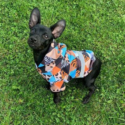 Dog Hoodie Wild Animals Psiakrew, reflective inserts, animal print