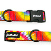 Dog Collar Tie Dye Psiakrew 2.5 cm 1"  wide, black fittings