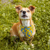 Premium Dog Bandana Ducky Duck handkerchief style to tie around your pet’s neck