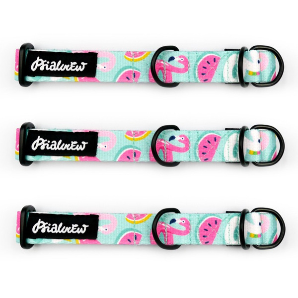 Half-choke collar Azure Pool, 2 cm wide, for small dogs, black extras