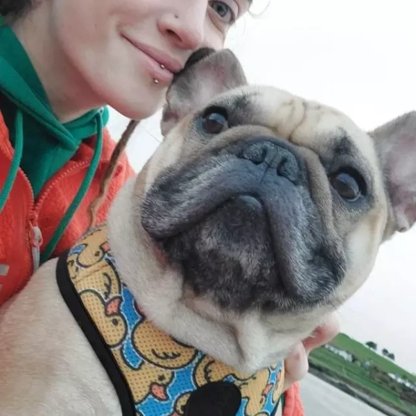 Dog Harness Ducky Duck, Always Feeling Cool, Super Soft Psiakrew