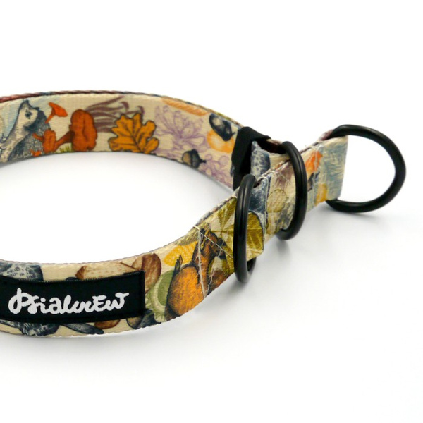 Half-choke collar Forest Treasures, 2.5 cm wide, medium and big dogs, black extras