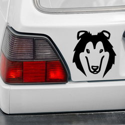 Collie Psiakrew Hunde-Autoaufkleber für leichte Karosserien