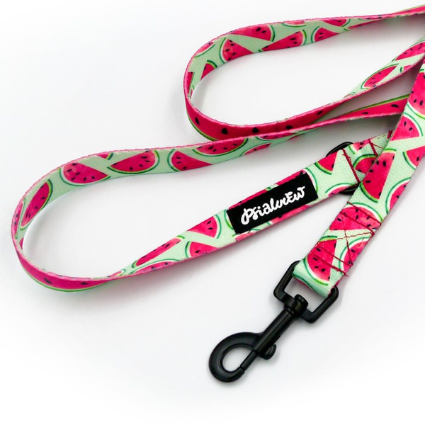 Walking leash for Dog Watermelon Psiakrew width 2 cm, black snap hook 6 cm