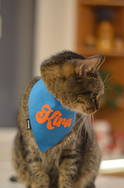 Personalizowana Niebieska Bandana z imieniem Psa Psiakrew wiązana chusteczka apaszka