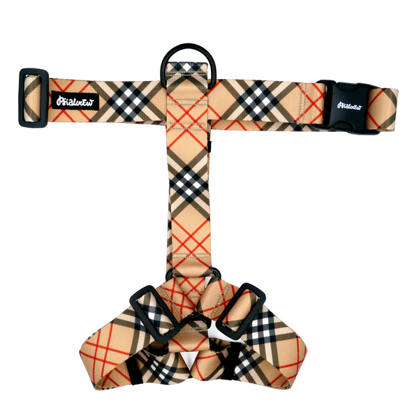 Masywne Szelki Guard dla Dużego Psa Dogberry Psiakrew taśma 4 cm