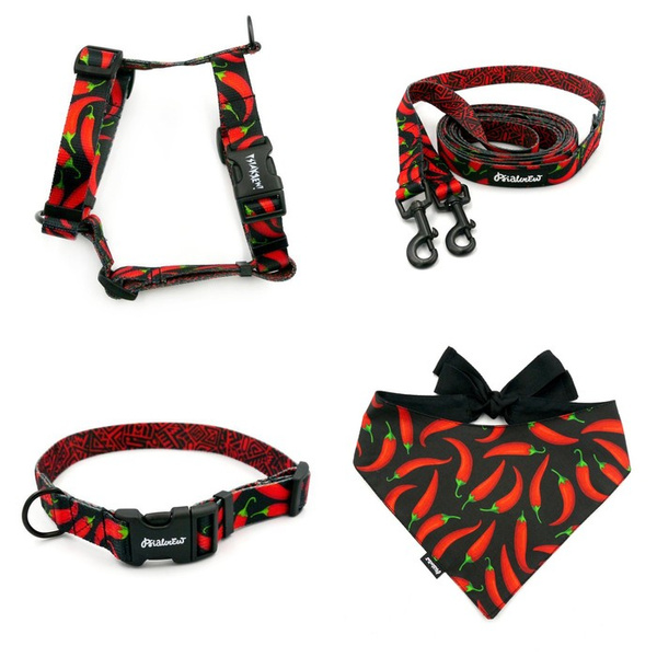 ZUBEHÖRSATZ für einen kleinen Hund Red Hot Chili Psiakrew -Serie; Halsband, Geschirr, Leine, Bandana
