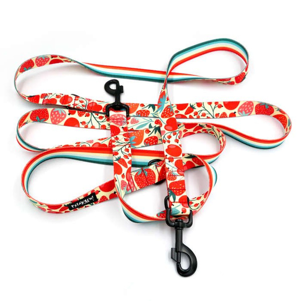 Dog Leash Fruit Jelly width 2.5 cm, 1" wide, black snap hook 8cm