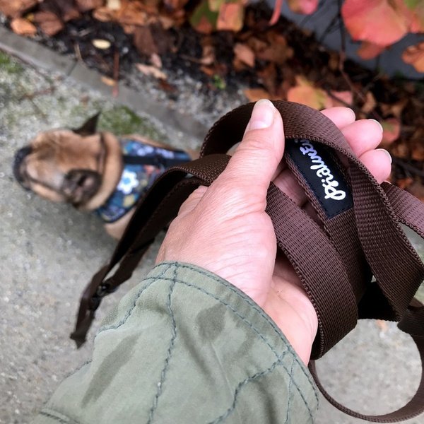 Brown Dog Leash width 2 cm 0.78 ", black extras