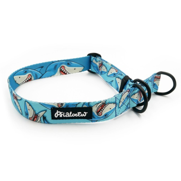 Half-choke collar Shark Psiakrew, 2.5 cm wide, medium and big dogs, black extras