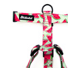 Harness for Dog, Model Watermelon Guard Harness, for medium dogs, black extras