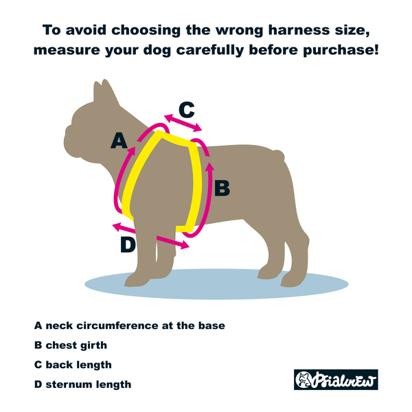 Harness for Dog, Snail Family Psiakrew Guard Harness Small Harness for small dogs, puppies, black extras