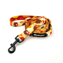 Smycz spacerowa miejska dla Psa Jeż Marzyciel Psiakrew szerokość 2 cm czarny karabińczyk 6 cm