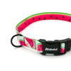 Verstellbares Hundehalsband Watermelon Psiakrew, Breite 2 cm, kleiner Hund, schwarze Beschläge