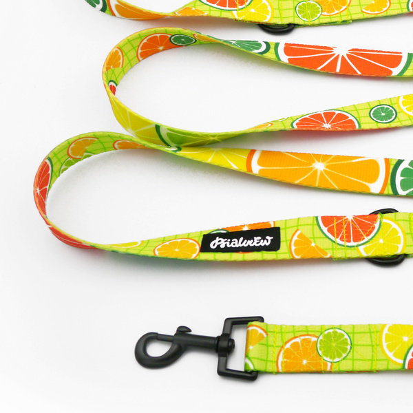 Long Adjustable Dog Leash Lemonade Psiakrew, width 2.5 cm, black snap hook 6 cm