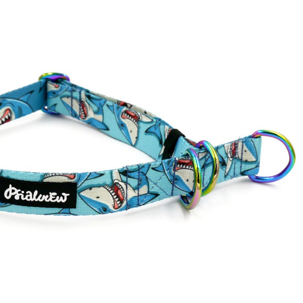 Half-choke collar Shark Psiakrew, 2.5 cm wide, medium and big dogs, holo extras