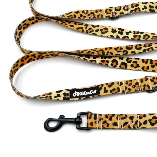 Hundeleine Tarzan Psiakrew Breite 2 cm, schwarzer Karabinerhaken 6 cm