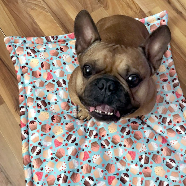 Premium Mat Plaid Blanket for the dog, Hot Sweetness Psiakrew Design