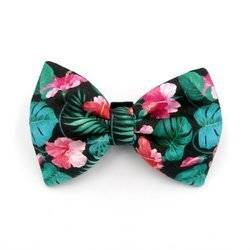 Dog Bow Tie Tropical Monstera, Pet Bow Tie, Bowtie, Collar Attachment