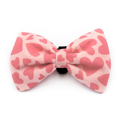 A pink bow tie with hearts for the Dog for Valentine's Day, Pink Love Psiakrew