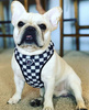 Dog Harness, Always Feeling Cool, Super Soft Psiakrew Checker