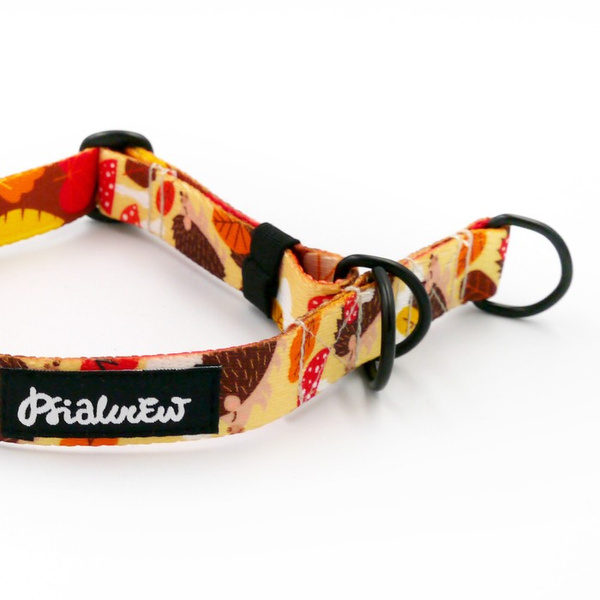 Half-Choke-Halsband Träumer Igel, 2 cm breit, für kleine Hunde, schwarze Accessoires