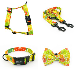 ZUBEHÖRSATZ. Großer Hund. Lemonade Psiakrew - Serie; Halsband, Geschirr, Leine, Fliege