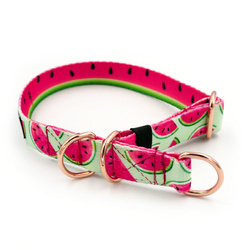 Half-choke collar Watermelon, 2 cm wide, for small dogs, golden extras