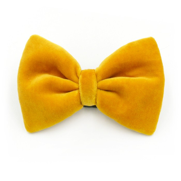 Velvet yellow bow tie for a dog an elegant ornament for special occasions, attached to the collar