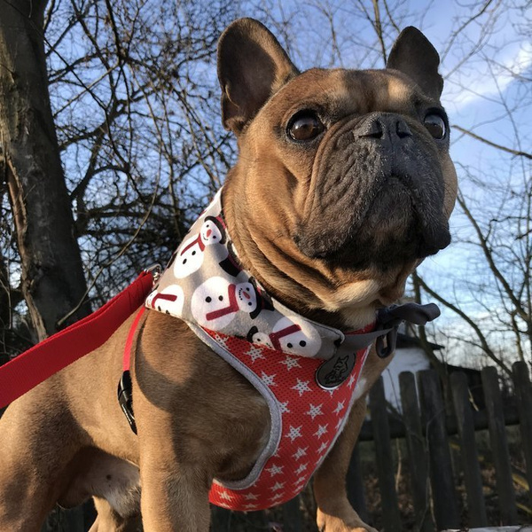 Premium Dog Bandana Snowman handkerchief style to tie around your pet’s neck gray