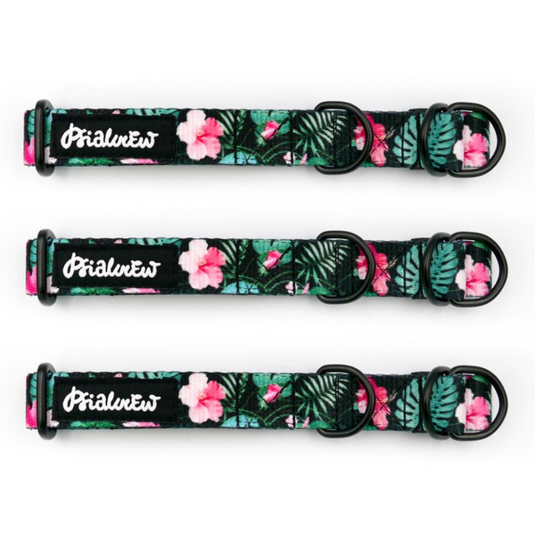 Half-choke collar Tropical Monstera, 2 cm wide, for small dogs, black extras