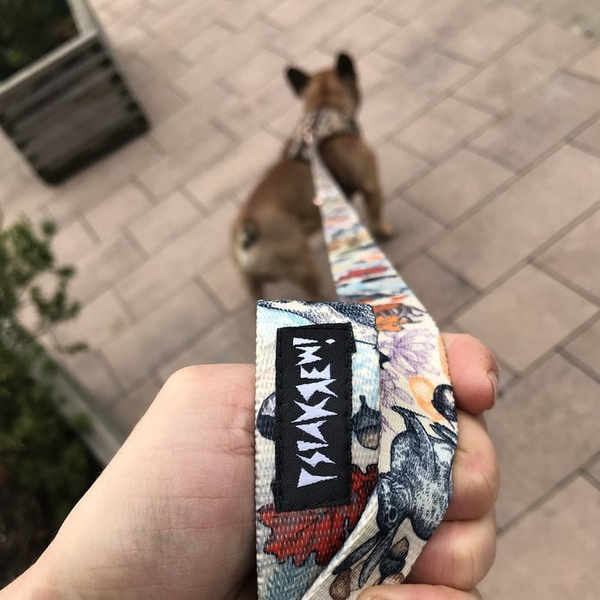 Długa Smycz Dla Psa Przepinana Regulowana Forest Treasures Psiakrew Design 2,5 cm