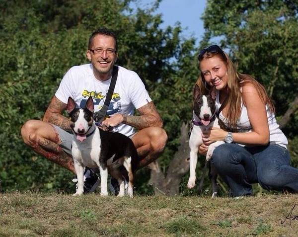 T-shirt Psiakrew Bull Lee Bull Terrier Dog Psiakrew