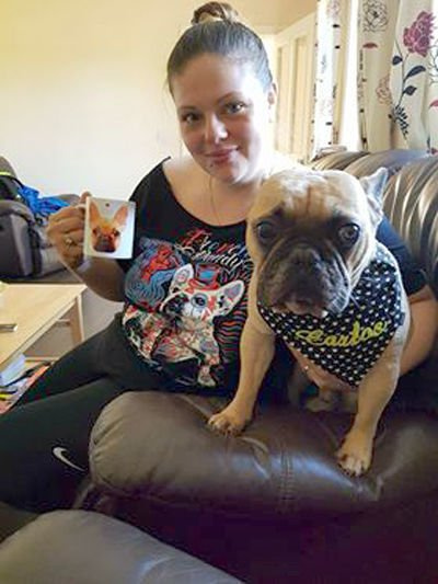 Women's T-shirt French Bulldog Frenchie Dandy Psiakrew