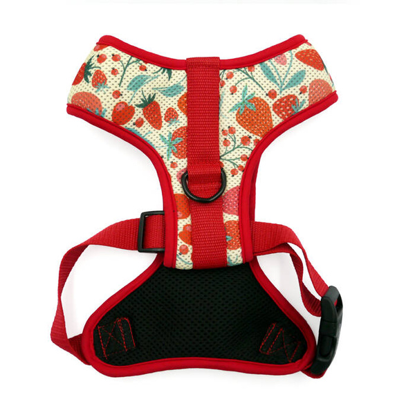 Dog Harness Fruit Jelly Psiakrew, Always Feeling Cool, Super Soft