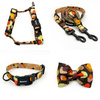 ACCESSORY KIT. Big dog. Snail Family Psiakrew Series; Collar, Harness, Leash, Bow tie