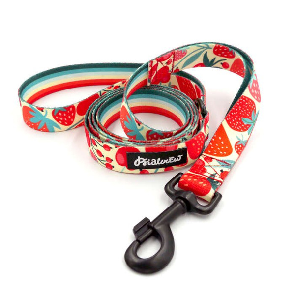 Dog Leash Fruit Jelly width 2.5 cm, 1"  wide, snap hook glossy nickel 7cm