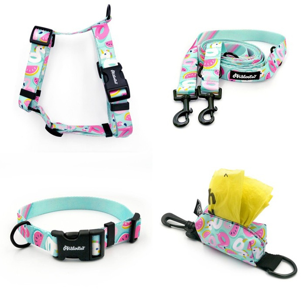 ACCESSORY KIT. Medium dog. Psiakrew Azure Pool Series; Collar, Harness, Leash, Pouch